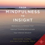 From Mindfulness to Insight